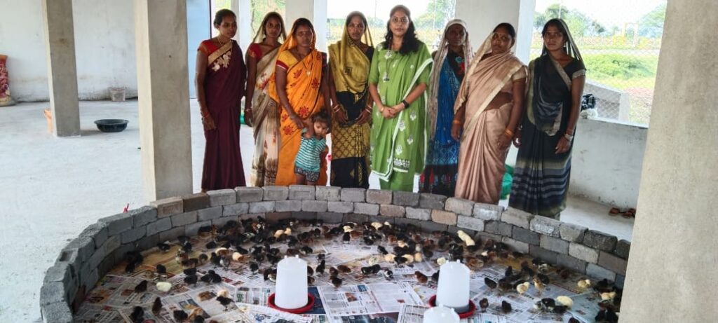 पूरे शक्ति जिले की खबरें एक साथ 30 मई की-- <em>कर्मचारियों के चेंबर में पहुंची कलेक्टर नूपुर--कलेक्टर श्रीमती नूपुर राशि पन्ना ने किया जिला कार्यालय का औचक निरीक्षण, जिले में शासन की योजनाओं से महिला समूह को मिल रहा समुचित लाभ</em>,गौठानो में भी आजीविका के विभिन्न रोजगार मिल रहे महिलाओं को पूरे शक्ति जिले की खबरें एक साथ 30 मई की-- <em>कर्मचारियों के चेंबर में पहुंची कलेक्टर नूपुर--कलेक्टर श्रीमती नूपुर राशि पन्ना ने किया जिला कार्यालय का औचक निरीक्षण, जिले में शासन की योजनाओं से महिला समूह को मिल रहा समुचित लाभ</em>,गौठानो में भी आजीविका के विभिन्न रोजगार मिल रहे महिलाओं को kshititech