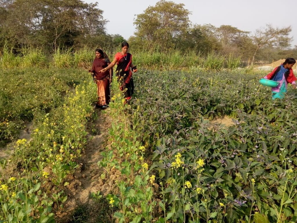 पूरे शक्ति जिले की खबरें एक साथ 30 मई की-- <em>कर्मचारियों के चेंबर में पहुंची कलेक्टर नूपुर--कलेक्टर श्रीमती नूपुर राशि पन्ना ने किया जिला कार्यालय का औचक निरीक्षण, जिले में शासन की योजनाओं से महिला समूह को मिल रहा समुचित लाभ</em>,गौठानो में भी आजीविका के विभिन्न रोजगार मिल रहे महिलाओं को पूरे शक्ति जिले की खबरें एक साथ 30 मई की-- <em>कर्मचारियों के चेंबर में पहुंची कलेक्टर नूपुर--कलेक्टर श्रीमती नूपुर राशि पन्ना ने किया जिला कार्यालय का औचक निरीक्षण, जिले में शासन की योजनाओं से महिला समूह को मिल रहा समुचित लाभ</em>,गौठानो में भी आजीविका के विभिन्न रोजगार मिल रहे महिलाओं को kshititech