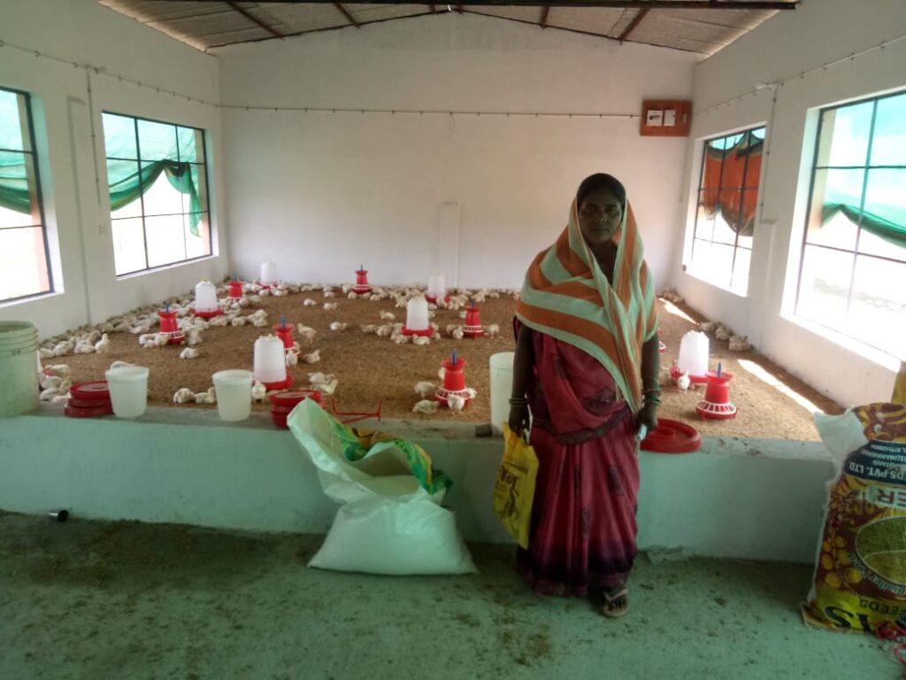 पूरे शक्ति जिले की खबरें एक साथ 30 मई की-- <em>कर्मचारियों के चेंबर में पहुंची कलेक्टर नूपुर--कलेक्टर श्रीमती नूपुर राशि पन्ना ने किया जिला कार्यालय का औचक निरीक्षण, जिले में शासन की योजनाओं से महिला समूह को मिल रहा समुचित लाभ</em>,गौठानो में भी आजीविका के विभिन्न रोजगार मिल रहे महिलाओं को पूरे शक्ति जिले की खबरें एक साथ 30 मई की-- <em>कर्मचारियों के चेंबर में पहुंची कलेक्टर नूपुर--कलेक्टर श्रीमती नूपुर राशि पन्ना ने किया जिला कार्यालय का औचक निरीक्षण, जिले में शासन की योजनाओं से महिला समूह को मिल रहा समुचित लाभ</em>,गौठानो में भी आजीविका के विभिन्न रोजगार मिल रहे महिलाओं को kshititech