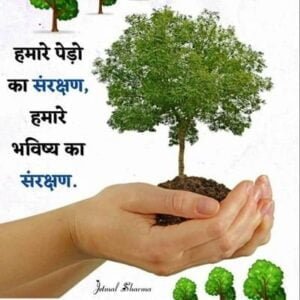 <em>पृथ्वी अनमोल है,इसे सुरक्षित रखना हम सभी का कर्तव्य है-- डॉ चरणदास महंत, विधानसभा अध्यक्ष ने विश्व पर्यावरण दिवस पर प्रदेशवासियों को दी बधाई, कबीर दास जी की जयंती पर महंत दंपत्ति ने करी पुष्पांजलि अर्पित</em> <em>पृथ्वी अनमोल है,इसे सुरक्षित रखना हम सभी का कर्तव्य है-- डॉ चरणदास महंत, विधानसभा अध्यक्ष ने विश्व पर्यावरण दिवस पर प्रदेशवासियों को दी बधाई, कबीर दास जी की जयंती पर महंत दंपत्ति ने करी पुष्पांजलि अर्पित</em> kshititech