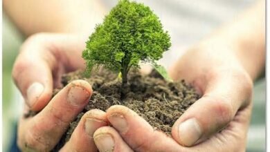 <em>विश्व पर्यावरण दिवस पर लक्ष्मी ने किया स्कूली बच्चों के साथ वृक्षारोपण, बच्चों को पर्यावरण के प्रति किया जागरूक, साथ ही लक्ष्मी ने कहा- पर्यावरण संरक्षित करने का आज ले हम सभी संकल्प</em>, पूरे वर्ष भर लक्ष्मी द्वारा पर्यावरण को लेकर किए जाते हैं विभिन्न में जागरूकता के कार्यक्रम kshititech