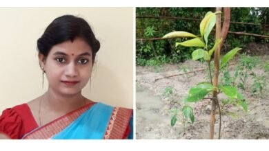 <em>राष्ट्रीय स्तर के पर्यावरण मित्र सम्मान 2023 से सम्मानित हुई शक्ति विकासखंड की नवाचारी शिक्षिका रजनी साहू, सर्वश्रेष्ठ सहभागिता एवं प्रथम स्थान से गौरवन्नित हुआ सक्ति</em> <em>राष्ट्रीय स्तर के पर्यावरण मित्र सम्मान 2023 से सम्मानित हुई शक्ति विकासखंड की नवाचारी शिक्षिका रजनी साहू, सर्वश्रेष्ठ सहभागिता एवं प्रथम स्थान से गौरवन्नित हुआ सक्ति</em> kshititech