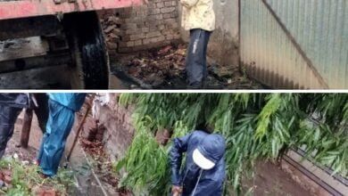 अड़भार में 28 जून को भारी बारिश के बावजूद स्वच्छता कर्मचारी जुटे कार्य में-- <em>स्वच्छता का विशेष अभियान-- नगर पंचायत अड़भार में बारिश को देखते हुए नालियों की सफाई एवं दवाइयों को किया जा रहा छिड़काव, रेनकोट पहनकर कर रहे सफाई कर्मचारी अपना काम</em> kshititech