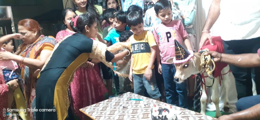 बच्चों की तरह मनाया नवजात बछड़े का जन्मदिन-- <em>श्रावण मास में जन्मे गाय के बछड़े का जन्मदिन उत्साह से मनाया सीएमओ आनंद राय ने,आनंद राय ने कहा- यह हमारे परिवार के लिए गौरवशाली क्षण</em>, घर के बच्चों ने भाई की तरह मनाया नवजात बछड़े का जन्मदिन, गुब्बारे भी लगे, केक भी कटा, लोगों को करवाया गया स्वल्पाहार भी बच्चों की तरह मनाया नवजात बछड़े का जन्मदिन-- <em>श्रावण मास में जन्मे गाय के बछड़े का जन्मदिन उत्साह से मनाया सीएमओ आनंद राय ने,आनंद राय ने कहा- यह हमारे परिवार के लिए गौरवशाली क्षण</em>, घर के बच्चों ने भाई की तरह मनाया नवजात बछड़े का जन्मदिन, गुब्बारे भी लगे, केक भी कटा, लोगों को करवाया गया स्वल्पाहार भी kshititech