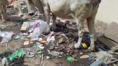 <em>सड़कों पर कचरा फेंकने से मोहल्ले वासी परेशान, शहर के वार्ड क्रमांक- 06 ममता मेडिकल गली में रास्ते पर ही कचरा फेंकने से रहवासियों को हो रही दिक्कतें</em>, कचरे खाने के रूप में परिवर्तित हो रहा आने जाने का मुख्य रास्ता <em>सड़कों पर कचरा फेंकने से मोहल्ले वासी परेशान, शहर के वार्ड क्रमांक- 06 ममता मेडिकल गली में रास्ते पर ही कचरा फेंकने से रहवासियों को हो रही दिक्कतें</em>, कचरे खाने के रूप में परिवर्तित हो रहा आने जाने का मुख्य रास्ता kshititech