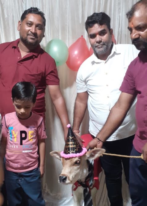 बच्चों की तरह मनाया नवजात बछड़े का जन्मदिन-- <em>श्रावण मास में जन्मे गाय के बछड़े का जन्मदिन उत्साह से मनाया सीएमओ आनंद राय ने,आनंद राय ने कहा- यह हमारे परिवार के लिए गौरवशाली क्षण</em>, घर के बच्चों ने भाई की तरह मनाया नवजात बछड़े का जन्मदिन, गुब्बारे भी लगे, केक भी कटा, लोगों को करवाया गया स्वल्पाहार भी बच्चों की तरह मनाया नवजात बछड़े का जन्मदिन-- <em>श्रावण मास में जन्मे गाय के बछड़े का जन्मदिन उत्साह से मनाया सीएमओ आनंद राय ने,आनंद राय ने कहा- यह हमारे परिवार के लिए गौरवशाली क्षण</em>, घर के बच्चों ने भाई की तरह मनाया नवजात बछड़े का जन्मदिन, गुब्बारे भी लगे, केक भी कटा, लोगों को करवाया गया स्वल्पाहार भी kshititech