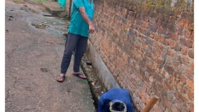 <em>नगर पंचायत अड़भार में बारिश मौसम को देखते हुए सफाई अभियान जोरों से, सीएमओ के निर्देश पर सफाई दरोगा विकास देवांगन स्वच्छता मित्रों के साथ जुटे हैं सफाई में</em>, नगर पंचायत अध्यक्ष,विधायक प्रतिनिधि सहित जनप्रतिनिधि भी देते हैं स्वच्छता को लेकर अपना योगदान, शहर स्वच्छता को लेकर प्रदेश में अग्रणी स्थान पर <em>नगर पंचायत अड़भार में बारिश मौसम को देखते हुए सफाई अभियान जोरों से, सीएमओ के निर्देश पर सफाई दरोगा विकास देवांगन स्वच्छता मित्रों के साथ जुटे हैं सफाई में</em>, नगर पंचायत अध्यक्ष,विधायक प्रतिनिधि सहित जनप्रतिनिधि भी देते हैं स्वच्छता को लेकर अपना योगदान, शहर स्वच्छता को लेकर प्रदेश में अग्रणी स्थान पर kshititech