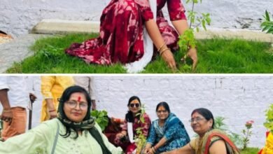 AAS की लक्ष्मी का वृक्षारोपण महाअभियान--- <em>छत्तीसगढ़ के अंतर्राष्ट्रीय अग्रवाल सम्मेलन पर्यावरण संरक्षण एवं जागरूकता इकाई ने अमरकंटक में किया वृक्षारोपण, प्रदेश संयोजक श्रीमती लक्ष्मी अग्रवाल के नेतृत्व में हुआ वृक्षारोपण जागरुकता को लेकर महाअभियान</em>, अंतर्राष्ट्रीय अध्यक्ष राजकुमार मित्तल के निर्देशन में हुआ कार्यक्रम kshititech