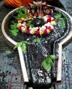 <em>45 शिव भक्त कांवड़ियों के साथ राधे- पवन ग्रुप हुआ 13 अगस्त को बैजनाथ धाम की यात्रा पर रवाना,बाबा भोलेनाथ कावड़ संघ शक्ति के नेतृत्व में बाबा का जलाभिषेक करेंगे शिव भक्त</em> <em>45 शिव भक्त कांवड़ियों के साथ राधे- पवन ग्रुप हुआ 13 अगस्त को बैजनाथ धाम की यात्रा पर रवाना,बाबा भोलेनाथ कावड़ संघ शक्ति के नेतृत्व में बाबा का जलाभिषेक करेंगे शिव भक्त</em> kshititech