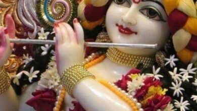 शक्ति में जन्माष्टमी महोत्सव-- <em>07 सितंबर को शक्ति के श्री राधाकृष्ण मंदिर सेवा समिति द्वारा किया जाएगा भव्य श्री कृष्ण जन्माष्टमी महोत्सव का आयोजन, झूले, खेल, तमाशों के साथ विभिन्न प्रतिस्पर्धाओं का भी होगा आयोजन</em>, अध्यक्ष शंकरलाल अग्रवाल ने दी जानकारी kshititech