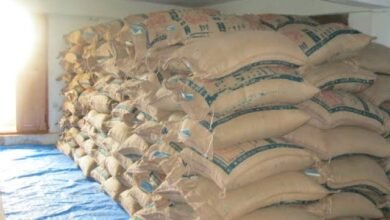 <em>किसानों को लेकर कृषि विभाग की चिंता-- अमानक कृषि बीज बिक्री पर दुकानदार पर कृषि विभाग की कड़ी कार्रवाई, विक्रेता का बीज लाइसेंस किया गया निरस्त, लगातार छापामार करवाई से कीटनाशक दवा दुकानो में दशहत, नकली कीटनाशक दवाओ की बिक्री से किसानों को हो रहा लगातार नुकसान</em>, दुकानदारों की मोटी कमाई के चक्कर में ठगे जा रहे किसान kshititech