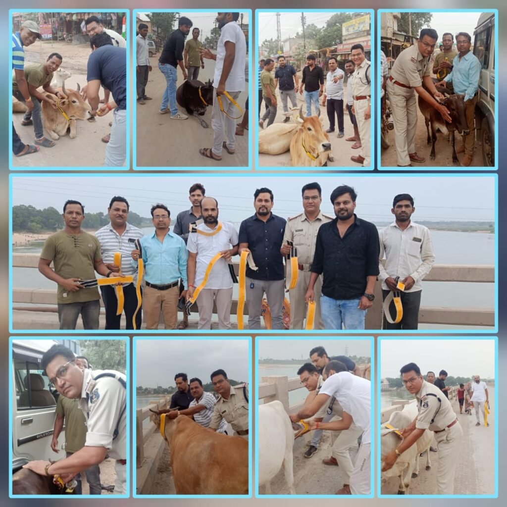 <em>नगर पंचायत चंद्रपुर में रोका-छेका अभियान के तहत विभागों के संयुक्त सहयोग से पशुओं को रेडियम बेल्ट लगा किया टैगिंग, शहर वासी भी दे रहे इस अभियान में सहयोग, सीएमओ आनंद राय ने दी जानकारी</em>, शहर की सामाजिक संस्थाएं भी दे रही बढ़-चढ़कर अपना सहयोग, आगे भी जारी रहेगा अभियान <em>नगर पंचायत चंद्रपुर में रोका-छेका अभियान के तहत विभागों के संयुक्त सहयोग से पशुओं को रेडियम बेल्ट लगा किया टैगिंग, शहर वासी भी दे रहे इस अभियान में सहयोग, सीएमओ आनंद राय ने दी जानकारी</em>, शहर की सामाजिक संस्थाएं भी दे रही बढ़-चढ़कर अपना सहयोग, आगे भी जारी रहेगा अभियान kshititech