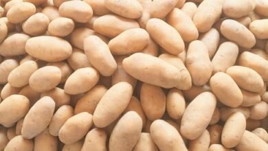 <em>डायबिटीज पेशेंट के लिए शक्ति में मिलेगा अब शुगर फ्री पहाड़ी आलू, 10 किलो 5 किलो के पैक में उपलब्ध, सुनील ट्रेडर्स के संचालक सुरेश कृपलानी ने दी जानकारी, अधिक जानकारी के लिए मोबाइल नंबर- 81097000918 पर भी ली जा सकती है जानकारी</em>, आलू- प्याज के व्यापार में एक बड़ा नाम है शक्ति के सुनील ट्रेडर्स का kshititech