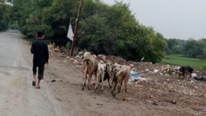 <em>नगर पंचायत चंद्रपुर में रोका-छेका अभियान के तहत विभागों के संयुक्त सहयोग से पशुओं को रेडियम बेल्ट लगा किया टैगिंग, शहर वासी भी दे रहे इस अभियान में सहयोग, सीएमओ आनंद राय ने दी जानकारी</em>, शहर की सामाजिक संस्थाएं भी दे रही बढ़-चढ़कर अपना सहयोग, आगे भी जारी रहेगा अभियान <em>नगर पंचायत चंद्रपुर में रोका-छेका अभियान के तहत विभागों के संयुक्त सहयोग से पशुओं को रेडियम बेल्ट लगा किया टैगिंग, शहर वासी भी दे रहे इस अभियान में सहयोग, सीएमओ आनंद राय ने दी जानकारी</em>, शहर की सामाजिक संस्थाएं भी दे रही बढ़-चढ़कर अपना सहयोग, आगे भी जारी रहेगा अभियान kshititech