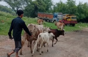 <em>नगर पंचायत चंद्रपुर में रोका-छेका अभियान के तहत विभागों के संयुक्त सहयोग से पशुओं को रेडियम बेल्ट लगा किया टैगिंग, शहर वासी भी दे रहे इस अभियान में सहयोग, सीएमओ आनंद राय ने दी जानकारी</em>, शहर की सामाजिक संस्थाएं भी दे रही बढ़-चढ़कर अपना सहयोग, आगे भी जारी रहेगा अभियान <em>नगर पंचायत चंद्रपुर में रोका-छेका अभियान के तहत विभागों के संयुक्त सहयोग से पशुओं को रेडियम बेल्ट लगा किया टैगिंग, शहर वासी भी दे रहे इस अभियान में सहयोग, सीएमओ आनंद राय ने दी जानकारी</em>, शहर की सामाजिक संस्थाएं भी दे रही बढ़-चढ़कर अपना सहयोग, आगे भी जारी रहेगा अभियान kshititech