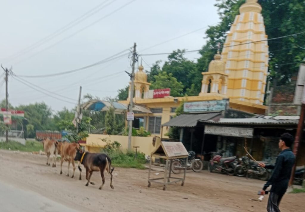 <em>नगर पंचायत चंद्रपुर में रोका-छेका अभियान के तहत विभागों के संयुक्त सहयोग से पशुओं को रेडियम बेल्ट लगा किया टैगिंग, शहर वासी भी दे रहे इस अभियान में सहयोग, सीएमओ आनंद राय ने दी जानकारी</em>, शहर की सामाजिक संस्थाएं भी दे रही बढ़-चढ़कर अपना सहयोग, आगे भी जारी रहेगा अभियान <em>नगर पंचायत चंद्रपुर में रोका-छेका अभियान के तहत विभागों के संयुक्त सहयोग से पशुओं को रेडियम बेल्ट लगा किया टैगिंग, शहर वासी भी दे रहे इस अभियान में सहयोग, सीएमओ आनंद राय ने दी जानकारी</em>, शहर की सामाजिक संस्थाएं भी दे रही बढ़-चढ़कर अपना सहयोग, आगे भी जारी रहेगा अभियान kshititech