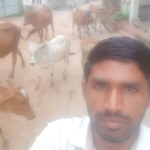<em>नगर पंचायत चंद्रपुर में रोका-छेका अभियान के तहत विभागों के संयुक्त सहयोग से पशुओं को रेडियम बेल्ट लगा किया टैगिंग, शहर वासी भी दे रहे इस अभियान में सहयोग, सीएमओ आनंद राय ने दी जानकारी</em>, शहर की सामाजिक संस्थाएं भी दे रही बढ़-चढ़कर अपना सहयोग, आगे भी जारी रहेगा अभियान <em>नगर पंचायत चंद्रपुर में रोका-छेका अभियान के तहत विभागों के संयुक्त सहयोग से पशुओं को रेडियम बेल्ट लगा किया टैगिंग, शहर वासी भी दे रहे इस अभियान में सहयोग, सीएमओ आनंद राय ने दी जानकारी</em>, शहर की सामाजिक संस्थाएं भी दे रही बढ़-चढ़कर अपना सहयोग, आगे भी जारी रहेगा अभियान kshititech