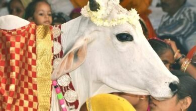 <em>शक्ति के गौ सेवकों एवं गोवंश संरक्षण समितियो ने कलेक्टर को लिखा पत्र, शहर में </em> गौ<em>वंश की सुरक्षा के लिए व्यवस्थाएं बनाने की करी मांग</em>, शक्ति शहर सीमा में गोठान निर्माण की करी मांग, सड़क दुर्घटनाओं में घायल गौ माताओ के लिए हो त्वरित इलाज की सुविधा kshititech