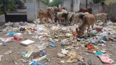 <em>शक्ति के प्रमुख समाजो के मुक्तिधामों को हटाने की साजिश या की लापरवाही-- नगर पालिका ने बना दिया कचरे का डंपिंग स्थल, वर्तमान स्थिति को देख आने वाले समय में अंतिम संस्कार करने में आ सकती है समस्याएं</em>, चंद्रपुर पदयात्रा सेवा समिति ने स्वच्छता को लेकर चलाया था मुक्तिधाम में अभियान, किंतु नगर पालिका ने बना दिया कचरे का ढेर kshititech