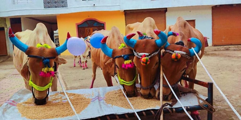 <em>छत्तीसगढ़ के पारंपरिक पर्व पोला की विधानसभा अध्यक्ष महंत ने दी प्रदेश वासियों को बधाई--महंत ने कहा-किसानों को मिले बेहतर फसल एवं बनी रहे प्रदेश में समृद्धि</em>, छत्तीसगढ़ के किसानों की आस्था का प्रतीक है पोला का पर्व <em>छत्तीसगढ़ के पारंपरिक पर्व पोला की विधानसभा अध्यक्ष महंत ने दी प्रदेश वासियों को बधाई--महंत ने कहा-किसानों को मिले बेहतर फसल एवं बनी रहे प्रदेश में समृद्धि</em>, छत्तीसगढ़ के किसानों की आस्था का प्रतीक है पोला का पर्व kshititech