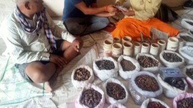 <em>सेवा के काम में जुटे विधायक प्रतिनिधि ज्योतिष गर्ग-- शहर के वार्ड क्रमांक- 06 में किया निशुल्क शिविर का आयोजन, मानव सेवा संस्थान के माध्यम से लोगों को दी जा रही शर्तिया बीमारियों की निशुल्क दवाइयां</em>, ज्योतिष ने कहा-- इन दवाइयो को लेकर लोगों को मिल रहा भारी लाभ <em>सेवा के काम में जुटे विधायक प्रतिनिधि ज्योतिष गर्ग-- शहर के वार्ड क्रमांक- 06 में किया निशुल्क शिविर का आयोजन, मानव सेवा संस्थान के माध्यम से लोगों को दी जा रही शर्तिया बीमारियों की निशुल्क दवाइयां</em>, ज्योतिष ने कहा-- इन दवाइयो को लेकर लोगों को मिल रहा भारी लाभ kshititech