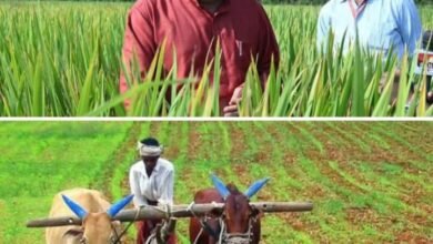 एलाने-ए- कर्ज माफी-- <em>शक्ति जिले में आकर कर्ज माफी की घोषणा करना जिले के लाखों किसानों का सम्मान, जिला कांग्रेस कमेटी शक्ति ने जताया मुख्यमंत्री बघेल का आभार, कांग्रेस ने कहा- कांग्रेस जो कहती है वह करके दिखाती है</em>, 2018 के बाद की कर्ज माफी से लाखों किसानों को हुआ था जबरदस्त लाभ kshititech