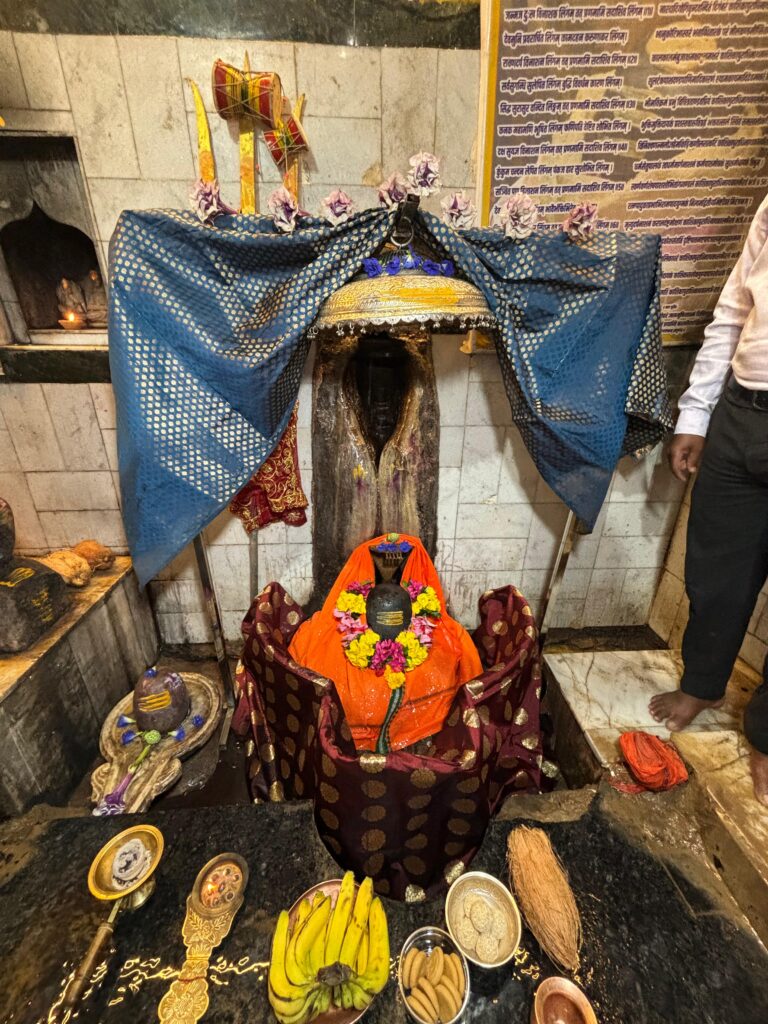 <em>खिलावन के पक्ष में अमेठी की सांसद केंद्रीय मंत्री स्मृति ईरानी शक्ति में करेगी 14 नवंबर को विशाल आमसभा को संबोधित, भाजपा प्रत्याशी खिलावन का चल रहा सघन जनसंपर्क, पूर्व मंडी अध्यक्ष चूड़ामणि राठौर ने भी संभाली खिलावन की कमान, चुनाव संचालक रामअवतार ने करी स्मृति ईरानी की सभा में लोगों को पहुंचाने की अपील</em> <em>खिलावन के पक्ष में अमेठी की सांसद केंद्रीय मंत्री स्मृति ईरानी शक्ति में करेगी 14 नवंबर को विशाल आमसभा को संबोधित, भाजपा प्रत्याशी खिलावन का चल रहा सघन जनसंपर्क, पूर्व मंडी अध्यक्ष चूड़ामणि राठौर ने भी संभाली खिलावन की कमान, चुनाव संचालक रामअवतार ने करी स्मृति ईरानी की सभा में लोगों को पहुंचाने की अपील</em> kshititech