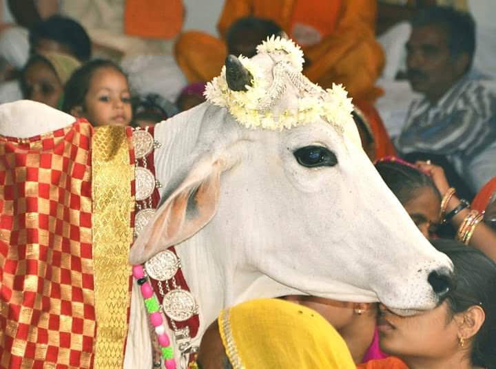 <em>रायगढ़ की 120 सालों पुरानी श्री चक्रधर गौशाला में 20 नवंबर को मनाया जाएगा गोपाष्टमी उत्सव पर्व, अध्यक्ष अजय रतेरिया एवं सचिव जयप्रकाश अग्रवाल ने दी जानकारी, 422 गौ वंशों के साथ करीब 2 करोड़ का है सालाना बजट</em>, वार्षिक समारोह के मुख्य अतिथि होंगे प्रतिष्ठित उद्योगपति संजय अग्रवाल <em>रायगढ़ की 120 सालों पुरानी श्री चक्रधर गौशाला में 20 नवंबर को मनाया जाएगा गोपाष्टमी उत्सव पर्व, अध्यक्ष अजय रतेरिया एवं सचिव जयप्रकाश अग्रवाल ने दी जानकारी, 422 गौ वंशों के साथ करीब 2 करोड़ का है सालाना बजट</em>, वार्षिक समारोह के मुख्य अतिथि होंगे प्रतिष्ठित उद्योगपति संजय अग्रवाल kshititech