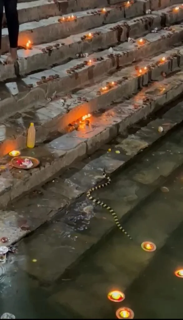 साक्षात प्रकट हुए भोलेनाथ-- <em>तुर्रीधाम की देव दीवाली में पहुंचे भगवान शंकर जी ने दिया हजारों लोगों को आशीर्वाद-- 26 नवंबर की शाम जगमगा उठा बाबा भोलेनाथ का धाम, हजारों लोग साक्षी बने महोत्सव के, छत्तीसगढ़ का सबसे अनूठा महोत्सव</em>, साल 2022 में महाकाल के भक्तों ने करी थी शुरुआत साक्षात प्रकट हुए भोलेनाथ-- <em>तुर्रीधाम की देव दीवाली में पहुंचे भगवान शंकर जी ने दिया हजारों लोगों को आशीर्वाद-- 26 नवंबर की शाम जगमगा उठा बाबा भोलेनाथ का धाम, हजारों लोग साक्षी बने महोत्सव के, छत्तीसगढ़ का सबसे अनूठा महोत्सव</em>, साल 2022 में महाकाल के भक्तों ने करी थी शुरुआत kshititech