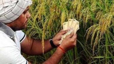 <em>किसानों की बल्ले बल्ले- 25 दिसंबर को शक्ति जिले के किसानों के घर होगी धन की बौछार, वर्षों से अटके पड़े बोनस वाली करोड़ों रुपए की मिलेगी राशि</em> kshititech