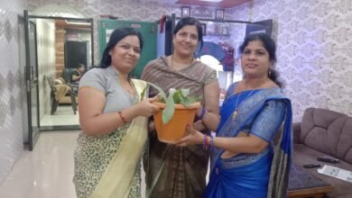 वृक्षारोपण का अद्भुत जुनून-- <em>शक्ति की वृक्ष मित्र रजनी राठौर कर रही वृक्षारोपण के प्रति लोगों को जागरूक- स्वयं घर-घर जाकर भेंट करती हैं पौधे, रजनी ने कहा- निरंतर करते रहना चाहिए वृक्षारोपण, पूर्व सरपंच सहित सामाजिक कार्यकर्ता भी है रजनी</em> kshititech