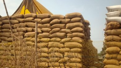 शक्ति जिले में <em>धान परिवहन की धीमी गति से समितियो में लगा हजारों क्विंटल धान का अंबार, समिति प्रबंधकों ने कहा- यही हाल रहा तो खड़ी होगी मुश्किलें, समितियो में जगह की कमी से किसानों को भी हो सक्ति है परेशानियां</em>, 10 जनवरी को ट्रक ड्राइवरो की हड़ताल की उड़ी जन चर्चाओं से भी समिति प्रबंधक रहे तनाव में शक्ति जिले में <em>धान परिवहन की धीमी गति से समितियो में लगा हजारों क्विंटल धान का अंबार, समिति प्रबंधकों ने कहा- यही हाल रहा तो खड़ी होगी मुश्किलें, समितियो में जगह की कमी से किसानों को भी हो सक्ति है परेशानियां</em>, 10 जनवरी को ट्रक ड्राइवरो की हड़ताल की उड़ी जन चर्चाओं से भी समिति प्रबंधक रहे तनाव में kshititech