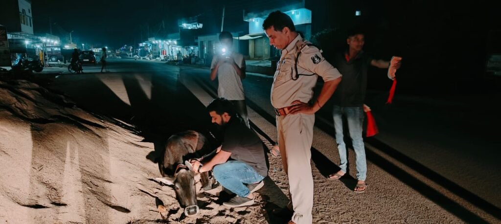 गौ वंश की रक्षा में पुलिस भी अग्रणी- सक्ति जिले के पुलिस यातायात प्रभारी महतो कर रहे गौ सेवा समिति के सदस्यों को यातायात मित्र बनकर गौवंश की दुर्घटनाओं में कमी लाने के प्रयास, गौ माताओ को रेडियम पट्टी लगाने के कार्य में हो रही सकारात्मक पहल गौ वंश की रक्षा में पुलिस भी अग्रणी- सक्ति जिले के पुलिस यातायात प्रभारी महतो कर रहे गौ सेवा समिति के सदस्यों को यातायात मित्र बनकर गौवंश की दुर्घटनाओं में कमी लाने के प्रयास, गौ माताओ को रेडियम पट्टी लगाने के कार्य में हो रही सकारात्मक पहल kshititech