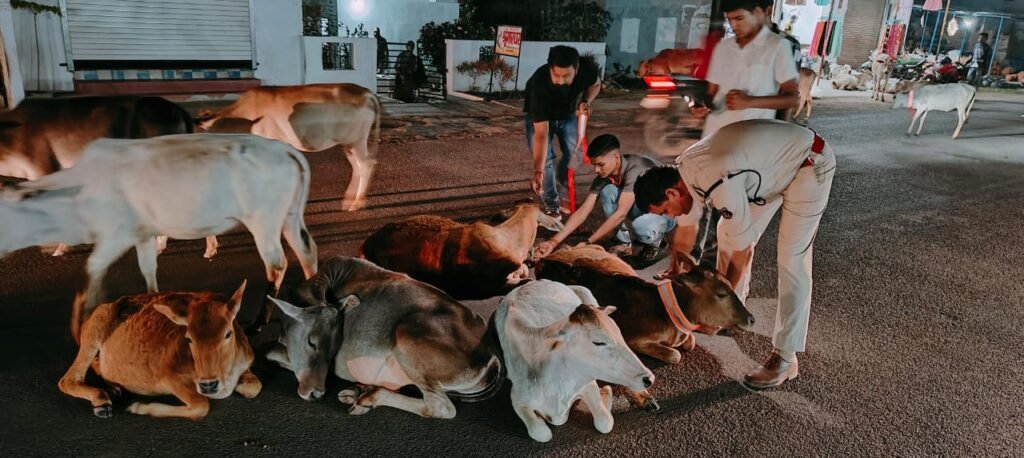 गौ वंश की रक्षा में पुलिस भी अग्रणी- सक्ति जिले के पुलिस यातायात प्रभारी महतो कर रहे गौ सेवा समिति के सदस्यों को यातायात मित्र बनकर गौवंश की दुर्घटनाओं में कमी लाने के प्रयास, गौ माताओ को रेडियम पट्टी लगाने के कार्य में हो रही सकारात्मक पहल गौ वंश की रक्षा में पुलिस भी अग्रणी- सक्ति जिले के पुलिस यातायात प्रभारी महतो कर रहे गौ सेवा समिति के सदस्यों को यातायात मित्र बनकर गौवंश की दुर्घटनाओं में कमी लाने के प्रयास, गौ माताओ को रेडियम पट्टी लगाने के कार्य में हो रही सकारात्मक पहल kshititech