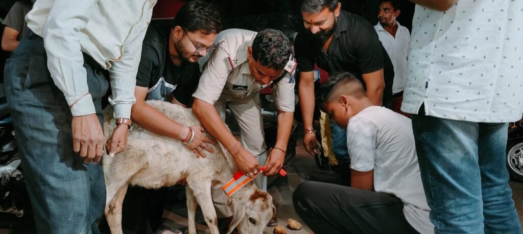 गौ वंश की रक्षा में पुलिस भी अग्रणी- सक्ति जिले के पुलिस यातायात प्रभारी महतो कर रहे गौ सेवा समिति के सदस्यों को यातायात मित्र बनकर गौवंश की दुर्घटनाओं में कमी लाने के प्रयास, गौ माताओ को रेडियम पट्टी लगाने के कार्य में हो रही सकारात्मक पहल गौ वंश की रक्षा में पुलिस भी अग्रणी- सक्ति जिले के पुलिस यातायात प्रभारी महतो कर रहे गौ सेवा समिति के सदस्यों को यातायात मित्र बनकर गौवंश की दुर्घटनाओं में कमी लाने के प्रयास, गौ माताओ को रेडियम पट्टी लगाने के कार्य में हो रही सकारात्मक पहल kshititech