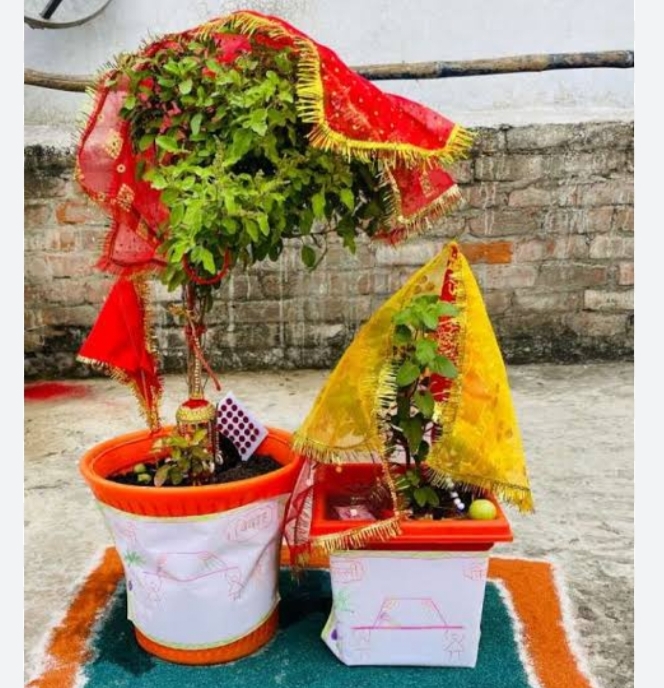 रायपुर के श्री अग्रसेन धाम छोकरा नाला में 12 एवम 13 नवंबर को होगा सामूहिक तुलसी विवाह एवं एकादशी उद्यापन, अंतराष्ट्रीय वैश्य समाज सम्मेलन प्रदेश इकाई एवं राधा सखी पर्रिकर ने किया है संयुक्त आयोजन, छत्तीसगढ़ में पहली बार होगा इतना बड़ा आयोजन रायपुर के श्री अग्रसेन धाम छोकरा नाला में 12 एवम 13 नवंबर को होगा सामूहिक तुलसी विवाह एवं एकादशी उद्यापन, अंतराष्ट्रीय वैश्य समाज सम्मेलन प्रदेश इकाई एवं राधा सखी पर्रिकर ने किया है संयुक्त आयोजन, छत्तीसगढ़ में पहली बार होगा इतना बड़ा आयोजन kshititech