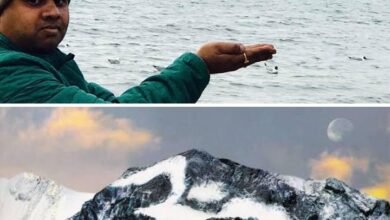 आदि कैलाश मानसरोवर की यात्रा पर निकले शक्ति के कैलाश अग्रवाल, कैलाश मानसरोवर की सर्वाधिक यात्रा का पुण्य प्राप्त किया है कैलाश ने, 4 जून से प्रारंभ होगी आदि कैलाश की यात्रा, प्रत्येक वर्ष कैलाश मानसरोवर की यात्रा पर जाने का जनून रखते हैं शक्ति के कैलाश kshititech