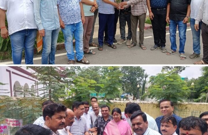 शक्ति शहर में सांसद जी ने किया वृक्षारोपण- शक्ति की मारवाड़ी युवा मंच शाखा ने पर्यावरण सुरक्षित रखने 8 जुलाई को किया वृक्षारोपण, सांसद एवं पूर्व नगर पालिका अध्यक्ष द्वय की उपस्थिति में वृक्षारोपण कर ट्री गार्ड भी लगाए गए, अतिथियों ने कहा- वृक्ष लगाएंगे तभी हमारा पर्यावरण रहेगा सुरक्षित kshititech