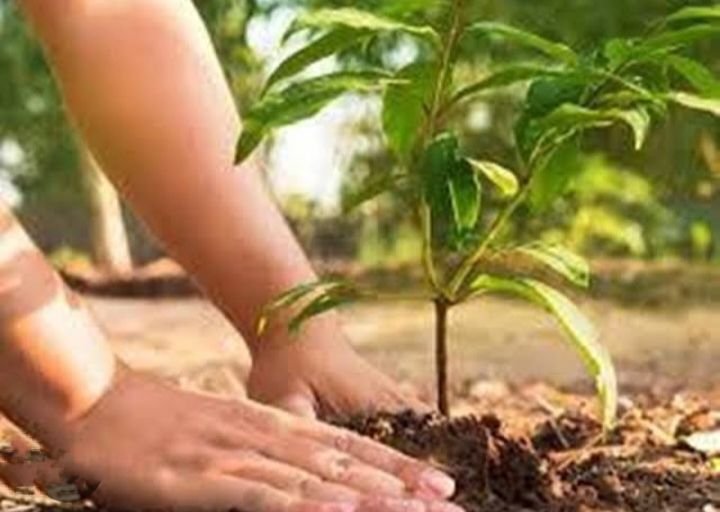 12 जुलाई को सक्ति के नंदेली भाटा मैदान में होगा वन महोत्सव का भव्य आयोजन,सांसद कमलेश जांगड़े, नेता प्रतिपक्ष महंत सहित जनप्रतिनिधि रहेंगे मौजूद, वन विभाग ने किया है आयोजन kshititech