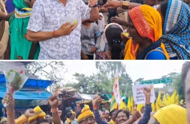 सामाजिक सौहाद्रबकी दिशा में श्यामसुंदर की अनुकरणीय पहल-विश्व आदिवासी दिवस पर निकली भव्य रैली का स्वागत किया नगर पालिका शक्ति के पूर्व अध्यक्ष श्यामसुंदर अग्रवाल ने, श्यामसुंदर ने दी आदिवासी समाज बंधुओ को बधाई सामाजिक सौहाद्रबकी दिशा में श्यामसुंदर की अनुकरणीय पहल-विश्व आदिवासी दिवस पर निकली भव्य रैली का स्वागत किया नगर पालिका शक्ति के पूर्व अध्यक्ष श्यामसुंदर अग्रवाल ने, श्यामसुंदर ने दी आदिवासी समाज बंधुओ को बधाई kshititech