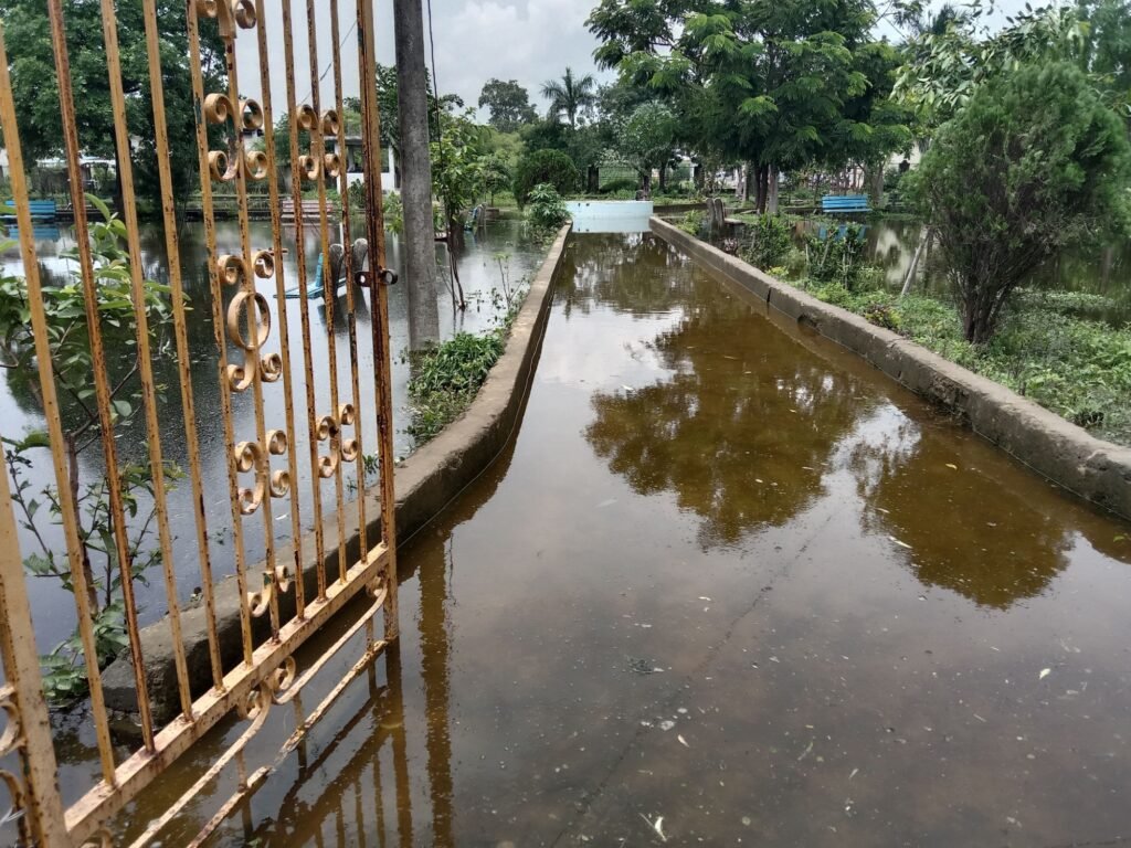 शहर का रास्ता बना तालाब-पानी निकास के आभाव में जलमग्न हो गई है नगर पालिका शक्ति की डॉक्टर श्यामा प्रसाद मुखर्जी पुष्प वाटिका, मुख्य रास्ते पर हुआ पानी का जमाव, तालाब बन चुके रास्ते से तैरकर पार कर रहे स्कूली बच्चों एवं मोहल्ले वासी, मोहल्ले वासियों ने करी त्वरित निराकरण करने की मांग kshititech