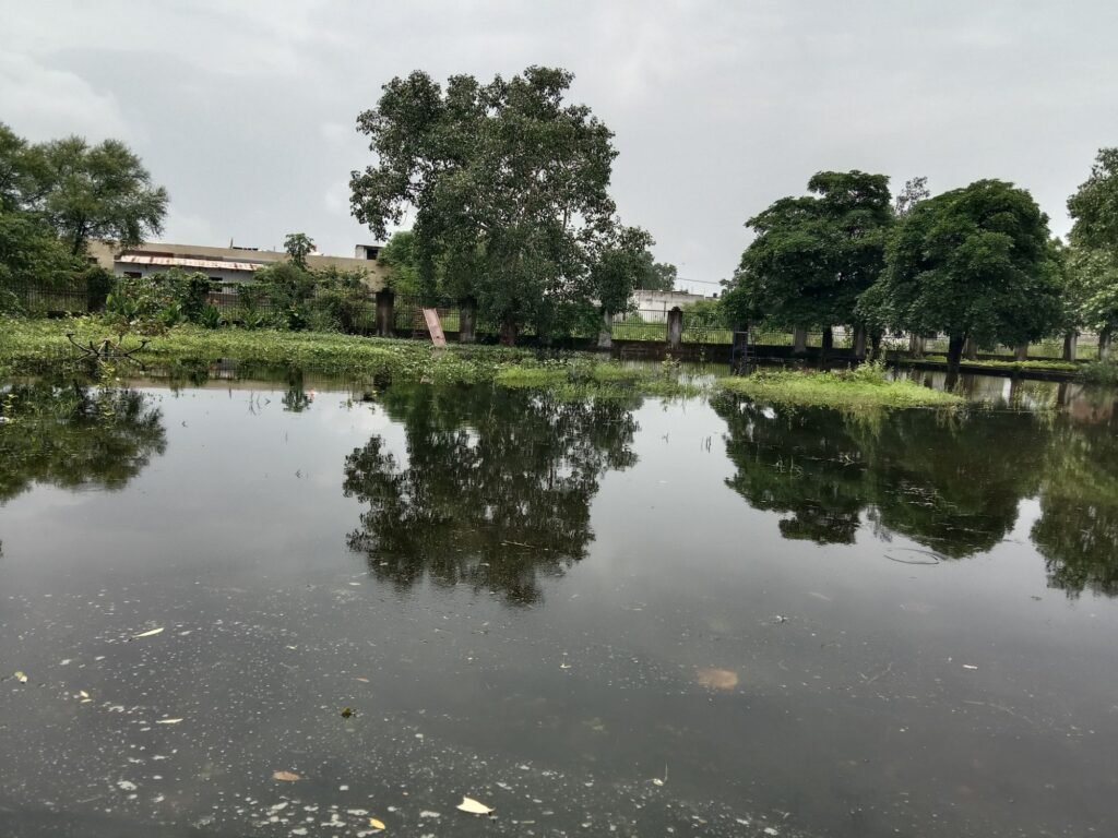 शहर का रास्ता बना तालाब-पानी निकास के आभाव में जलमग्न हो गई है नगर पालिका शक्ति की डॉक्टर श्यामा प्रसाद मुखर्जी पुष्प वाटिका, मुख्य रास्ते पर हुआ पानी का जमाव, तालाब बन चुके रास्ते से तैरकर पार कर रहे स्कूली बच्चों एवं मोहल्ले वासी, मोहल्ले वासियों ने करी त्वरित निराकरण करने की मांग kshititech