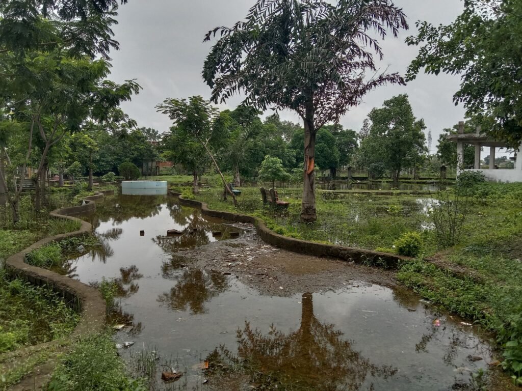 शहर का रास्ता बना तालाब-पानी निकास के आभाव में जलमग्न हो गई है नगर पालिका शक्ति की डॉक्टर श्यामा प्रसाद मुखर्जी पुष्प वाटिका, मुख्य रास्ते पर हुआ पानी का जमाव, तालाब बन चुके रास्ते से तैरकर पार कर रहे स्कूली बच्चों एवं मोहल्ले वासी, मोहल्ले वासियों ने करी त्वरित निराकरण करने की मांग kshititech