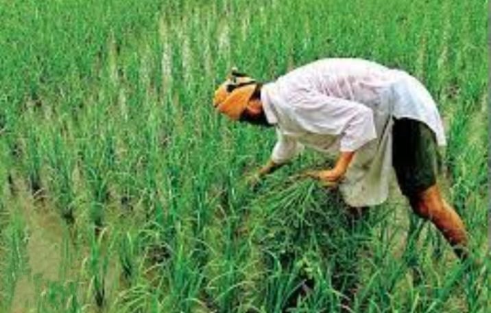 किसानों को मिलेगा बड़ा सम्मान- उप संचालक कृषि विभाग जिला शक्ति ने डॉक्टर खूबचंद बघेल कृषक रत्न पुरस्कार हेतु किये आवेदन आमंत्रित, 31 अगस्त तक पात्रता धारी किसान कर सकेंगे आवेदन, नगर 2 लाख की सम्मान राशि एवं मोमेंटो दिया जाएगा चयनित कृषक को किसानों को मिलेगा बड़ा सम्मान- उप संचालक कृषि विभाग जिला शक्ति ने डॉक्टर खूबचंद बघेल कृषक रत्न पुरस्कार हेतु किये आवेदन आमंत्रित, 31 अगस्त तक पात्रता धारी किसान कर सकेंगे आवेदन, नगर 2 लाख की सम्मान राशि एवं मोमेंटो दिया जाएगा चयनित कृषक को kshititech