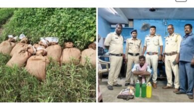 आबकारी विभाग की अलग-अलग स्थान पर हुई फिर कारवाई,अवैध महुआ शराब सहित महुआ लहान संग्रहण के मामले हुए दर्ज, आबकारी वृत्त प्रभारी कोमल सिंह सिदार की सक्रियता, शक्ति जिले के अलग-अलग आबकारी वृत्तों में&nbsp; प्रभारीयो की सजगता से हो रही कार्यवाही kshititech