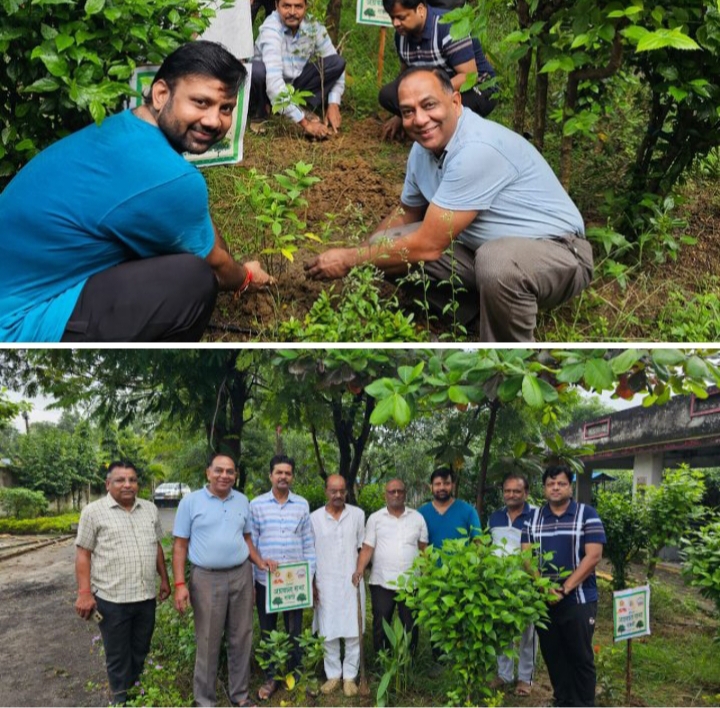 पितृपक्ष की शुरुआत नेक कार्य से- शक्ति के अग्रवाल समाज ने मुक्तिधाम में किया वृक्षारोपण, 18 सितंबर को अग्रसेन जयंती पखवाड़े के शुभारंभ दिवस हुआ पर्यावरण संरक्षण की दिशा में नेक कार्य,अग्रकुल के पितृ जनों की स्मृति में किया गया वृक्षारोपण, 18 सितंबर की रात्रि से प्रारंभ होगी जयंती समारोह की प्रतिस्पर्धाएं पितृपक्ष की शुरुआत नेक कार्य से- शक्ति के अग्रवाल समाज ने मुक्तिधाम में किया वृक्षारोपण, 18 सितंबर को अग्रसेन जयंती पखवाड़े के शुभारंभ दिवस हुआ पर्यावरण संरक्षण की दिशा में नेक कार्य,अग्रकुल के पितृ जनों की स्मृति में किया गया वृक्षारोपण, 18 सितंबर की रात्रि से प्रारंभ होगी जयंती समारोह की प्रतिस्पर्धाएं kshititech