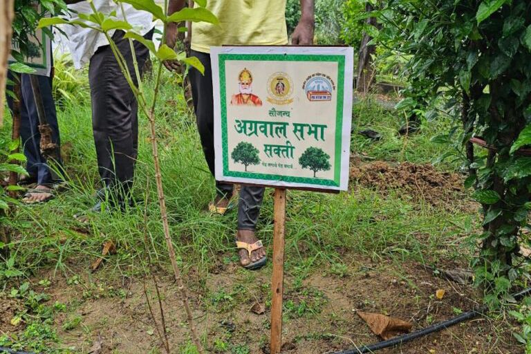 पितृपक्ष की शुरुआत नेक कार्य से- शक्ति के अग्रवाल समाज ने मुक्तिधाम में किया वृक्षारोपण, 18 सितंबर को अग्रसेन जयंती पखवाड़े के शुभारंभ दिवस हुआ पर्यावरण संरक्षण की दिशा में नेक कार्य,अग्रकुल के पितृ जनों की स्मृति में किया गया वृक्षारोपण, 18 सितंबर की रात्रि से प्रारंभ होगी जयंती समारोह की प्रतिस्पर्धाएं पितृपक्ष की शुरुआत नेक कार्य से- शक्ति के अग्रवाल समाज ने मुक्तिधाम में किया वृक्षारोपण, 18 सितंबर को अग्रसेन जयंती पखवाड़े के शुभारंभ दिवस हुआ पर्यावरण संरक्षण की दिशा में नेक कार्य,अग्रकुल के पितृ जनों की स्मृति में किया गया वृक्षारोपण, 18 सितंबर की रात्रि से प्रारंभ होगी जयंती समारोह की प्रतिस्पर्धाएं kshititech