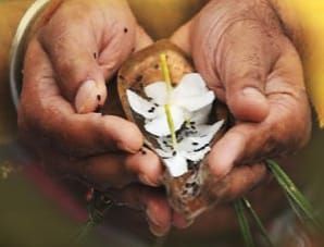 पितृपक्ष की शुरुआत नेक कार्य से- शक्ति के अग्रवाल समाज ने मुक्तिधाम में किया वृक्षारोपण, 18 सितंबर को अग्रसेन जयंती पखवाड़े के शुभारंभ दिवस हुआ पर्यावरण संरक्षण की दिशा में नेक कार्य,अग्रकुल के पितृ जनों की स्मृति में किया गया वृक्षारोपण, 18 सितंबर की रात्रि से प्रारंभ होगी जयंती समारोह की प्रतिस्पर्धाएं पितृपक्ष की शुरुआत नेक कार्य से- शक्ति के अग्रवाल समाज ने मुक्तिधाम में किया वृक्षारोपण, 18 सितंबर को अग्रसेन जयंती पखवाड़े के शुभारंभ दिवस हुआ पर्यावरण संरक्षण की दिशा में नेक कार्य,अग्रकुल के पितृ जनों की स्मृति में किया गया वृक्षारोपण, 18 सितंबर की रात्रि से प्रारंभ होगी जयंती समारोह की प्रतिस्पर्धाएं kshititech