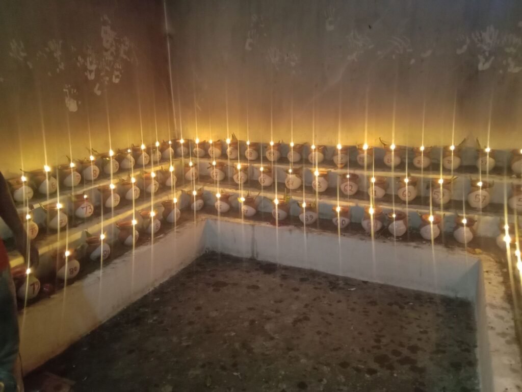 शक्ति शहर सहित पूरे जिले में नवरात्रि पर्व में जगदंबे भवानी की हो रही आराधना, शहर के देवी मंदिरों में मनोकामना ज्योति कलश हो रहे प्रज्वलित,अड़भार एवं चंद्रपुर में भी पहुंच रहे हैं हजारों की संख्या में देवी भक्त, स्टार दुर्गा का पंडाल भी बन देवी भक्तों की आस्था का केंद्र शक्ति शहर सहित पूरे जिले में नवरात्रि पर्व में जगदंबे भवानी की हो रही आराधना, शहर के देवी मंदिरों में मनोकामना ज्योति कलश हो रहे प्रज्वलित,अड़भार एवं चंद्रपुर में भी पहुंच रहे हैं हजारों की संख्या में देवी भक्त, स्टार दुर्गा का पंडाल भी बन देवी भक्तों की आस्था का केंद्र kshititech