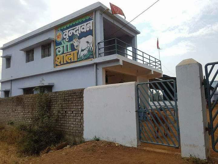जय गौ माता की- शक्ति नगर की श्री वृंदावन गौशाला में कल 09 नवंबर को गोपाष्टमी का पर्व मनेगा धूमधाम से, सुबह से होगी पूजा अर्चना, एवं गौ माता की सेवा, श्री डीएम चैरिटेबल ट्रस्ट द्वारा नंदेलीभाटा में स्थापित है वृंदावन गौशाला, वर्षों से असहाय गायों की सेवा होती है इस गौशाला में जय गौ माता की- शक्ति नगर की श्री वृंदावन गौशाला में कल 09 नवंबर को गोपाष्टमी का पर्व मनेगा धूमधाम से, सुबह से होगी पूजा अर्चना, एवं गौ माता की सेवा, श्री डीएम चैरिटेबल ट्रस्ट द्वारा नंदेलीभाटा में स्थापित है वृंदावन गौशाला, वर्षों से असहाय गायों की सेवा होती है इस गौशाला में kshititech